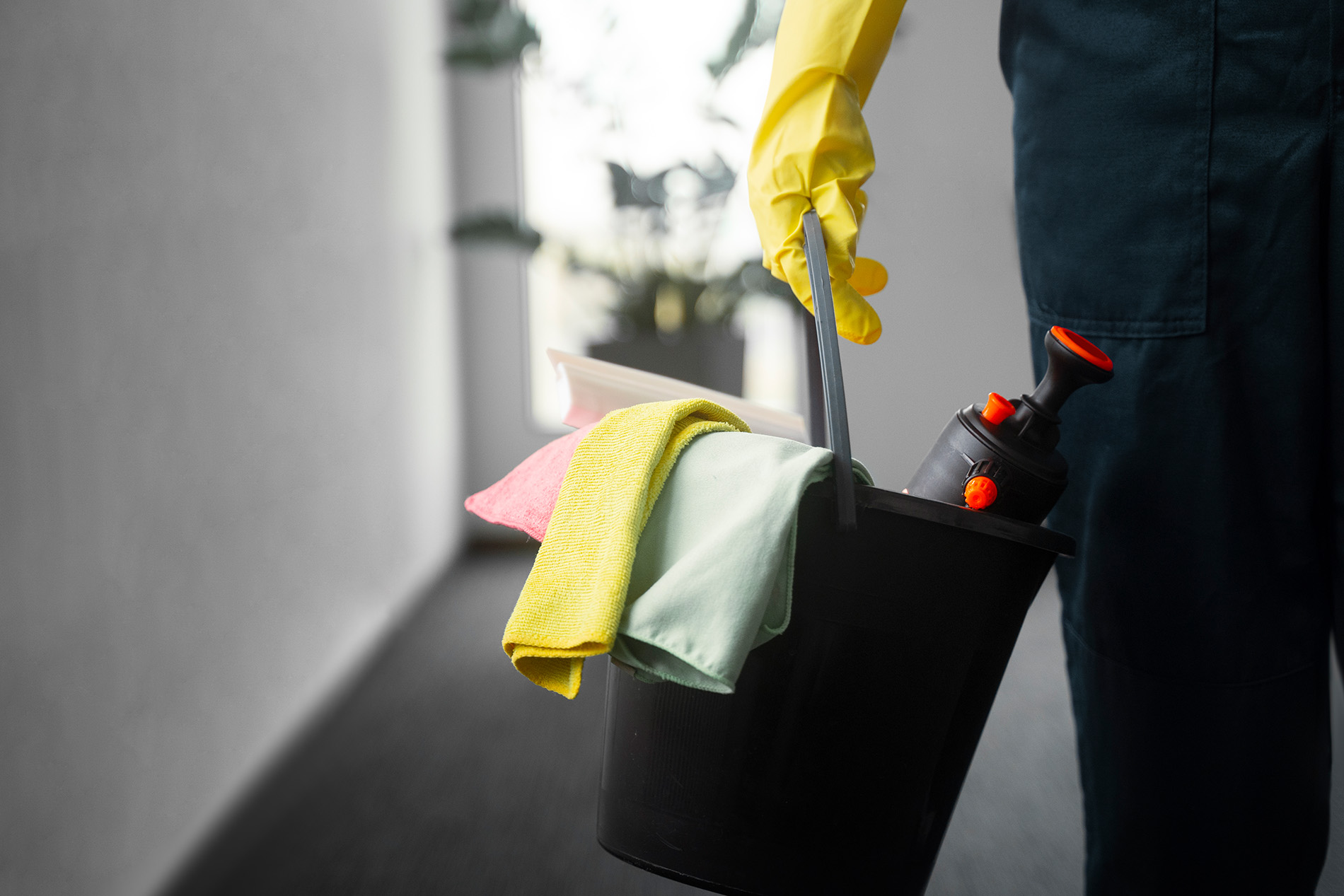 Specialized Services