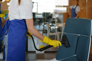 Upholstery & Furniture Care